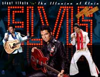 The Illusion of Elvis by Danny Vernon