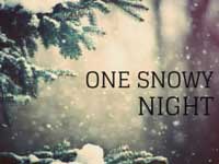 One Snowy Night